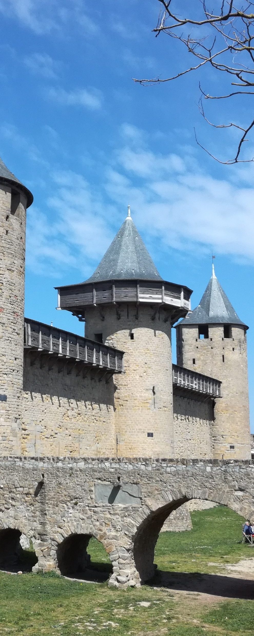 Carcassonne la citée